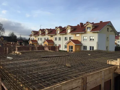 Aleja Dębowa - grudzień 2015 - zdjęcie 1