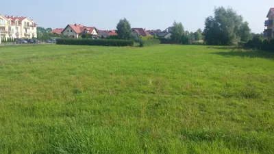 Aleja Dębowa - sierpień 2015 - zdjęcie 3