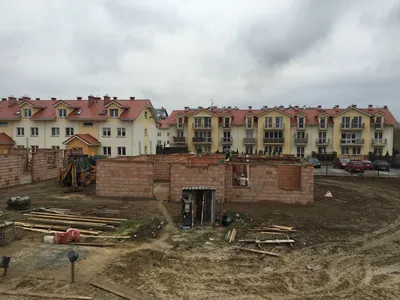 Aleja Dębowa - listopad 2015 - zdjęcie 1