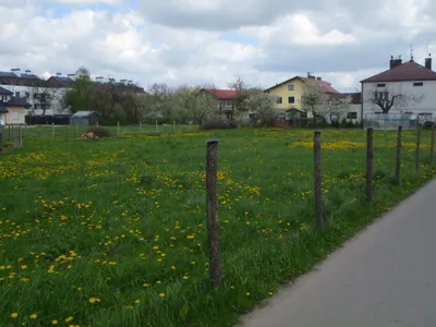Teren przed rozpoczęciem budowy - zdjęcie 1