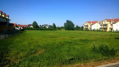 Aleja Dębowa - sierpień 2015 - zdjęcie 1